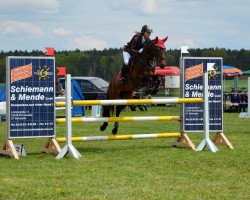 Springpferd Goldfee 347 (Deutsches Reitpony, 2001, von Magic Main)