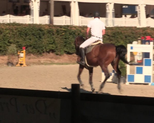 Reitturnier Vlotho-Exter 2018