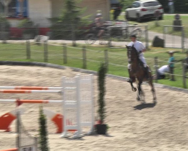 Sommerspringen Turbenthal 2018