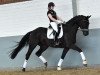 dressage horse Di Matteo (Hanoverian, 2013, from Don Index)