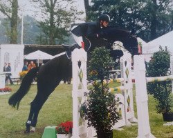 jumper Esther 126 (Hanoverian, 1997, from Espri)