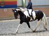 dressage horse Baria 4 (unknown, 2012, from Bonte Bart II)