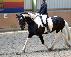 dressage horse Baria 4 (unknown, 2012, from Bonte Bart II)