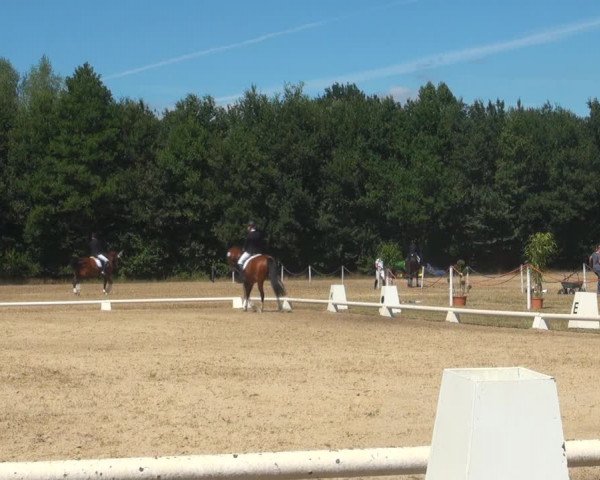Reitturnier Wietmarschen 2018