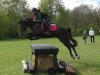 jumper Melli Meloni (German Riding Pony, 2009, from Manchester)