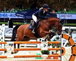 jumper Conloubet (Oldenburg show jumper, 2006, from Contender)