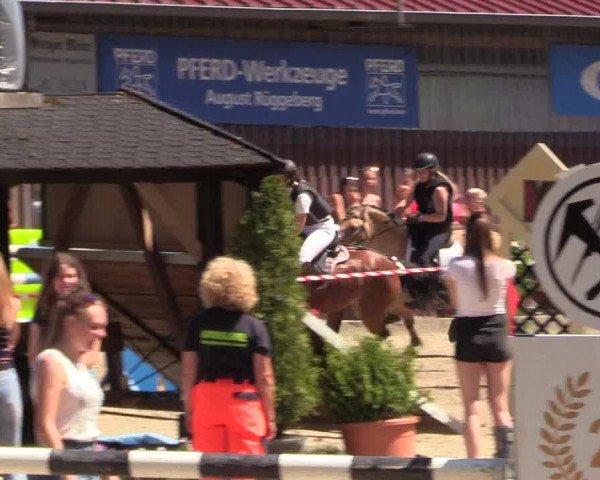 Reitturnier Marienheide-Kempershöhe 2018