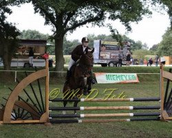 dressage horse Allegro 363 (Hanoverian, 1999, from Amoroso)