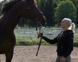 jumper Cosimo M (Hanoverian, 2009, from Cosinhus)