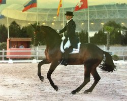 dressage horse Royal Rubinstein (Hanoverian, 2005, from Rubin Royal OLD)