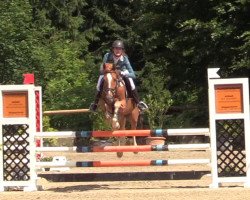 jumper Peter Pan 185 (German Riding Pony, 2012, from Pilatus)