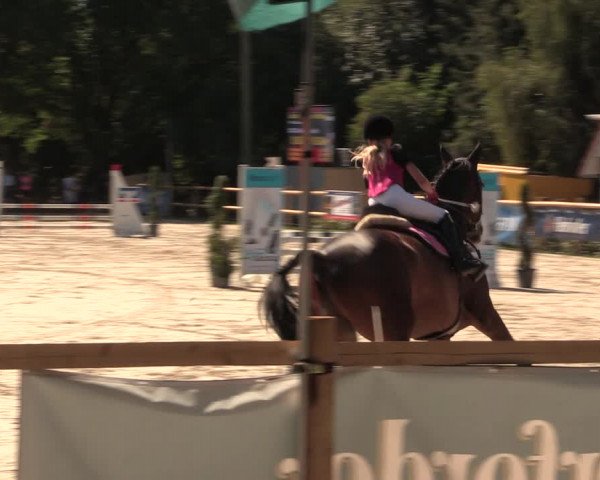 Reitturnier Vlotho-Exter 2018