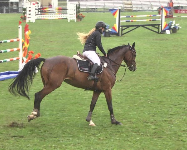 Reitturnier Nördlingen 2018