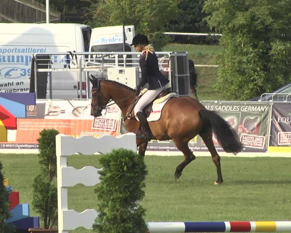 Reitturnier Nördlingen 2018