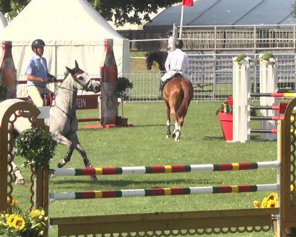 Reitturnier Nördlingen 2018