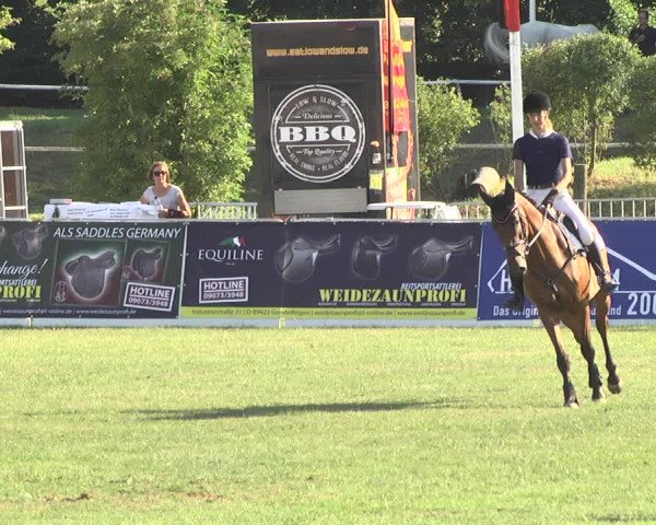 Reitturnier Nördlingen 2018