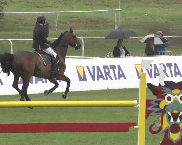 Reitturnier Nördlingen 2018