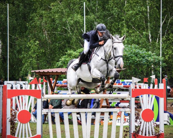 jumper Abramovich (German Sport Horse, 2010, from Askano)