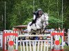 jumper Abramovich (German Sport Horse, 2010, from Askano)