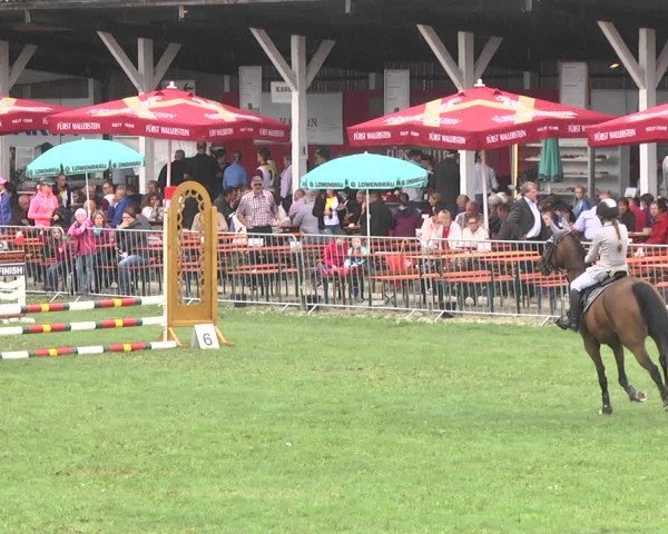 Reitturnier Nördlingen 2018