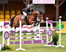 jumper Casus Belli (German Warmblood, 2011, from Casdorff)