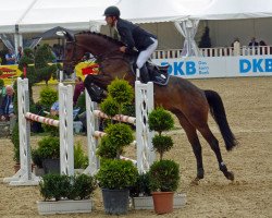 jumper Donizetti 42 (Hanoverian, 2012, from Diarado)