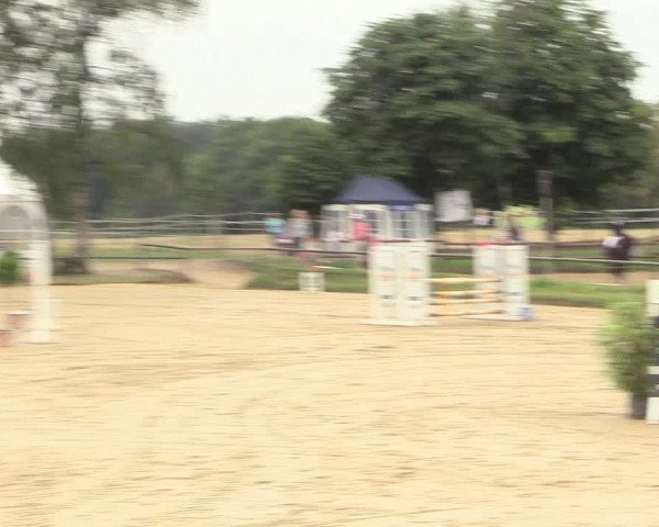 Reitturnier Herbern 2018