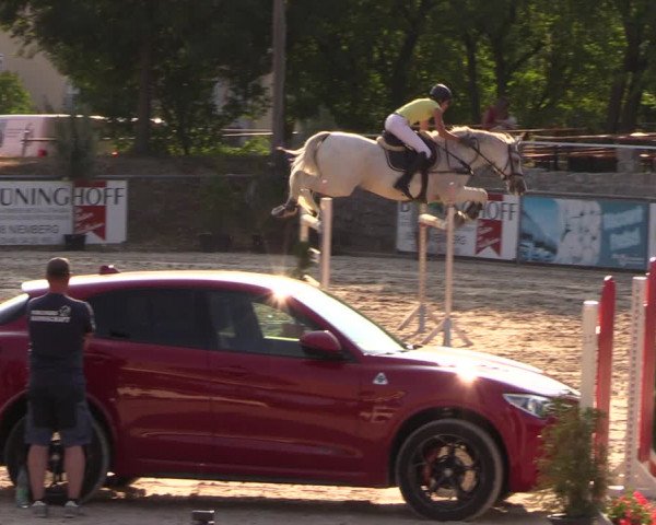 Görlitzer Springtage 2018