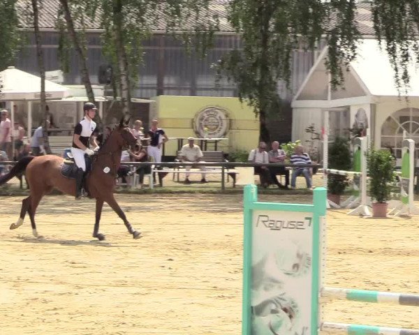 Reitturnier Herbern 2018