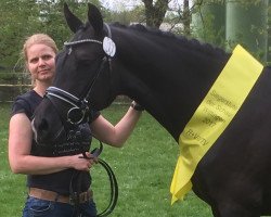 broodmare La Belle Étoile F (Hanoverian, 2014, from Livaldon)