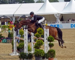 jumper Mick Checker (Oldenburg show jumper, 2012, from Montelini)