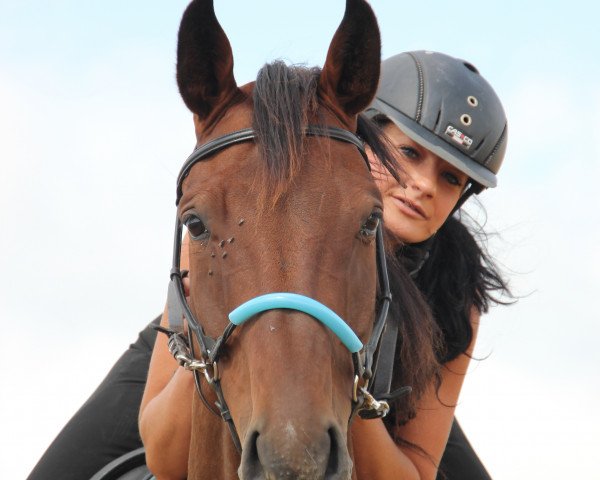 Pferd Libero (Deutsches Sportpferd, 2009, von Lord Georg)