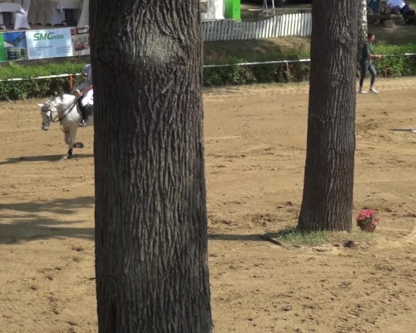 Reitturnier CSN Calvörde 2018