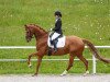 dressage horse van Helsink 2 (Westphalian, 2011, from Vitalis)