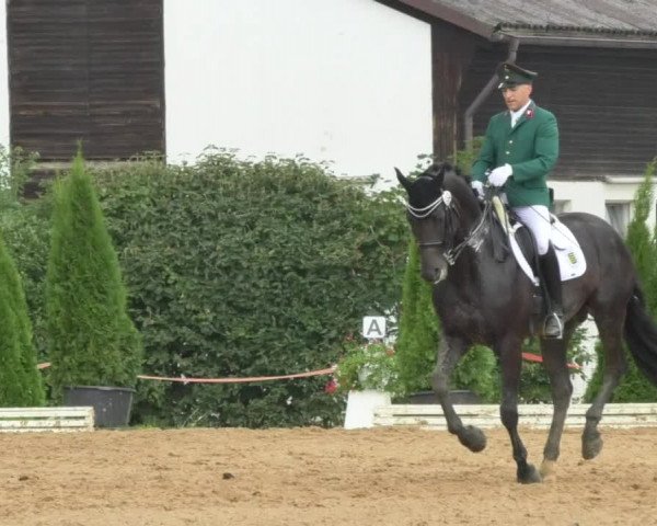 Reitturnier Nördlingen 2018