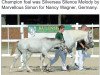 dressage horse Silversea Silence Melody (Connemara Pony, 2016, from Marvellous Simon)