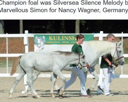 Dressurpferd Silversea Silence Melody (Connemara-Pony, 2016, von Marvellous Simon)