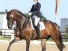 dressage horse De Jong (Hanoverian, 2007, from Dancier)