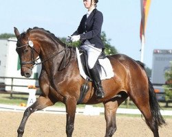 dressage horse De Jong (Hanoverian, 2007, from Dancier)