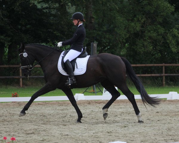 broodmare Donna Littchen 9 (Oldenburg, 2010, from Fürstenball)