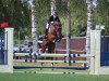 jumper Call Me Casallino (Hanoverian, 2016, from Casallco)