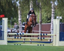 jumper Call Me Casallino (Hanoverian, 2016, from Casallco)