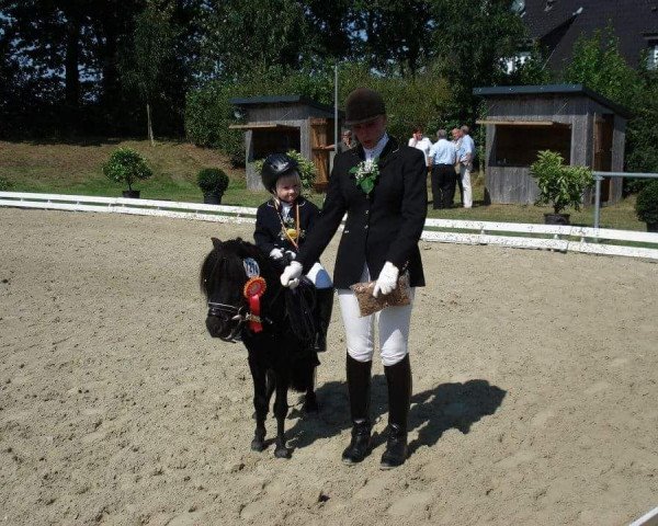 dressage horse Karlchen von Kalksbeck (unknown,  )