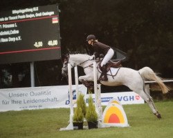 dressage horse Princess L (Trakehner, 2005, from Silvermoon)