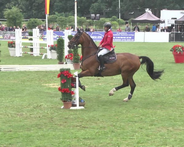 Reitturnier Nördlingen 2018