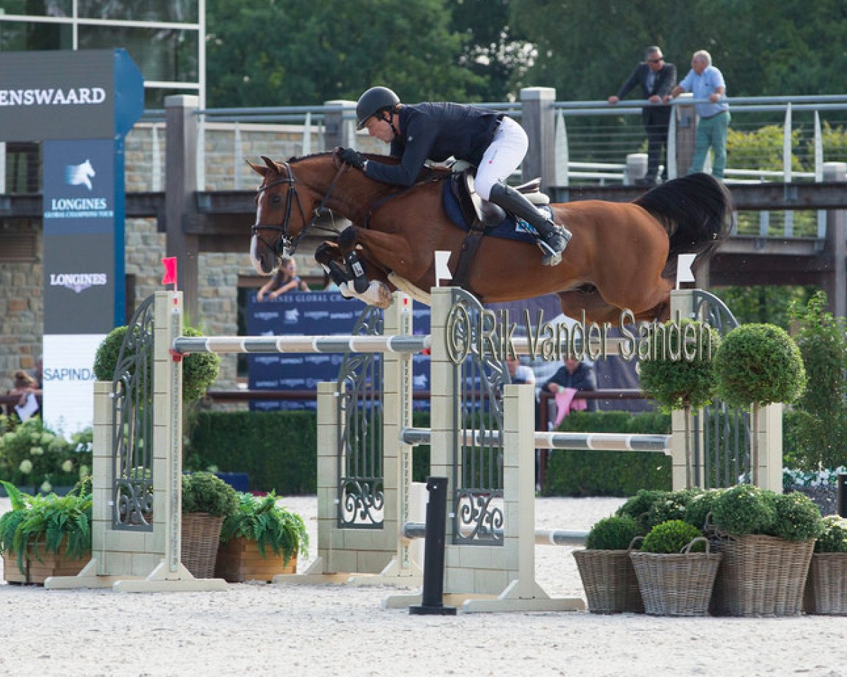 jumper Deluxe Ilton (Belgian Warmblood, 2008, from Cooper van de Heffinck)