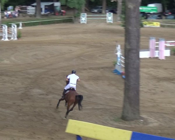 Reitturnier CSN Calvörde 2018