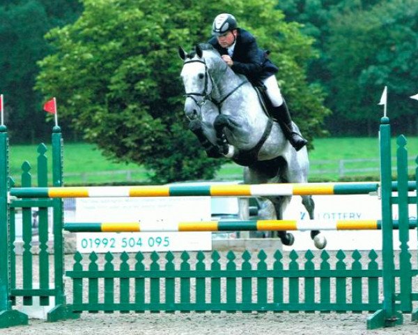 stallion Casanova Du Domaine Z (Belgian Warmblood, 2003, from Cassini I)