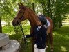 dressage horse Samba Samin (Württemberger, 2007, from Alassio's Boy)