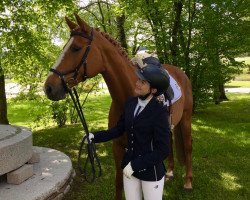 dressage horse Samba Samin (Württemberger, 2007, from Alassio's Boy)